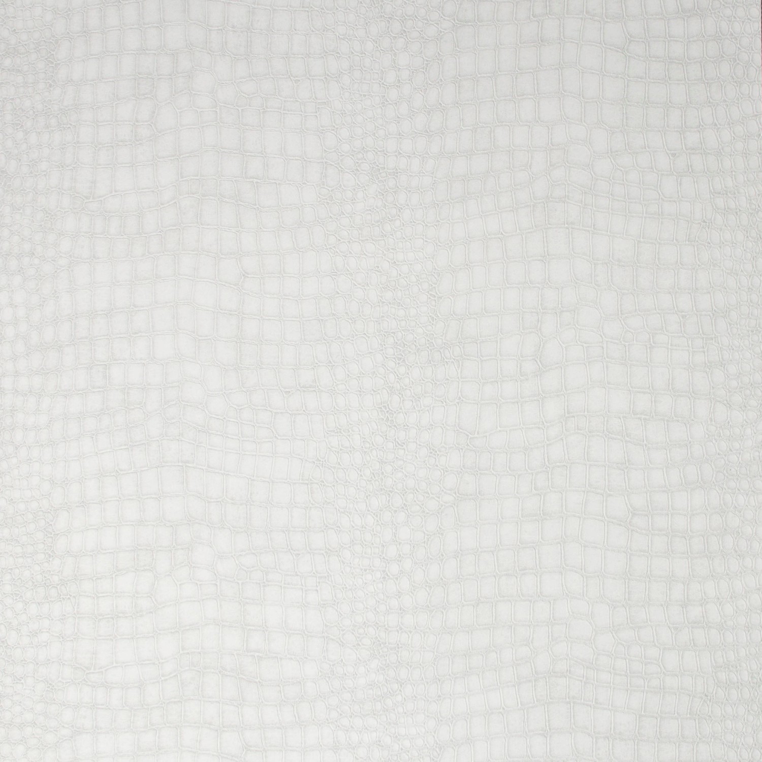 Superfresco Easy Vliestapete Crocodile  White 10,05 x 0,52 m von Superfresco easy