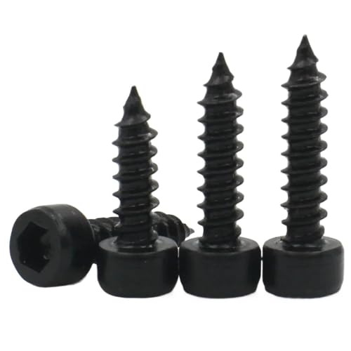 20 STK. Sechskant-Innensechskantkopf M2 M2.6 M3 M3.5 M4 M5 M6 Selbstschneidende Schraube 8.8 Klasse Schwarz Zink Inbusschraube for Lautsprecher(M2.6) von Supkancl