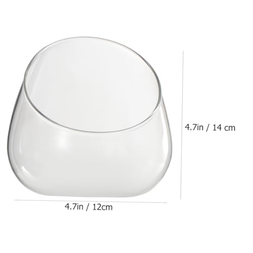 SUPVOX 2 Stück Glas Pflanzgefäße Schrägöffnung Mikrolandschaft Flaschen Dekorativer Glas Blumenübertopf für Sukkulenten Hydroponik Steindekoration Wohnzimmer Küche SUPVOX 2 Stück Glas Pflanzgefäße Schrägöffnung Mikrolandschaft Flaschen Dekorativer Glas Blumenübertopf für Sukkulenten Hydroponik Steindekoration Wohnzimmer Küche von Supvox