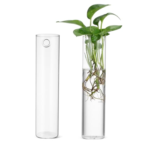 SUPVOX 2 Stück Glas wandvase Zylinderförmig Transparent Hängend Hydroponik Pflanzenhalter Für Blumen Wanddeko Modern Schlankes Design Pflegeleicht SUPVOX 2 Stück Glas wandvase Zylinderförmig Transparent Hängend Hydroponik Pflanzenhalter Für Blumen Wanddeko Modern Schlankes Design Pflegeleicht von Supvox