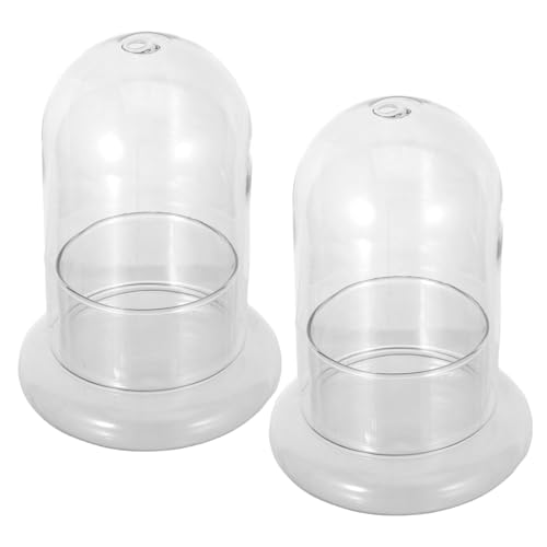 SUPVOX 2 Stück Landschafts Glasflasche mit DIY Ökologische Moosflasche Terrarium Flasche für Miniatur Gärten Wohnraumdekoration Schlafzimmer Büro Glasbehälter für Pflanzen und Micro von Supvox