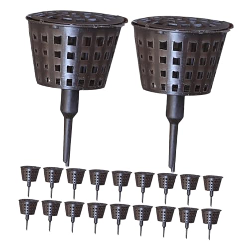 SUPVOX 30 Stück Bonsai Düngerbox mit Deckel Kunststoff Pflanzgefäß für Orchideen und Sukkulenten Automatischer Nährstoffspender Vielseitig Einsetzbar für Garten und Zimmerpflanzen von Supvox