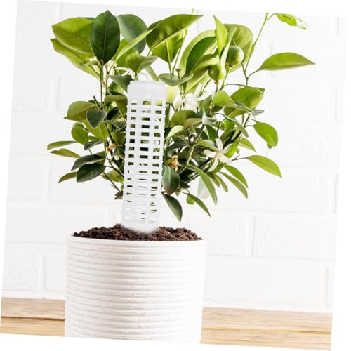 SUPVOX 4 Stück Teiliges Kunststoff Moosstab Stabile Kletterhilfe für Zimmerpflanzen Indoor Pflanzenstütze zur Unterstützung von Kletterpflanzen Langlebiger DIY Garten Rankstab SUPVOX 4 Stück Teiliges Kunststoff Moosstab Stabile Kletterhilfe für Zimmerpflanzen Indoor Pflanzenstütze zur Unterstützung von Kletterpflanzen Langlebiger DIY Garten Rankstab von Supvox