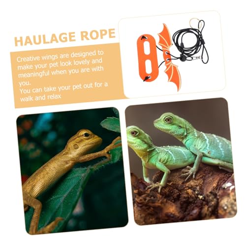 SUPVOX 5 Stück Eidechsen Geschirr mit Verstellbarem Zugband Teiliges für Bartagamen und Kleine Reptilien mit Farbigen Flügeln Komfortables Sicheres Laufgeschirr für Geckos und Echsen von Supvox