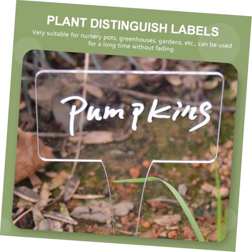 SUPVOX 6 Stück Teiliges Acryl Pflanzenschilder Witterungsbeständig Beschreibbar Scharfes Design zum Einfachen Einstecken Geeignet für Garten Gewächshaus Blumenbeete und Pflanztöpfe SUPVOX 6 Stück Teiliges Acryl Pflanzenschilder Witterungsbeständig Beschreibbar Scharfes Design zum Einfachen Einstecken Geeignet für Garten Gewächshaus Blumenbeete und Pflanztöpfe von Supvox