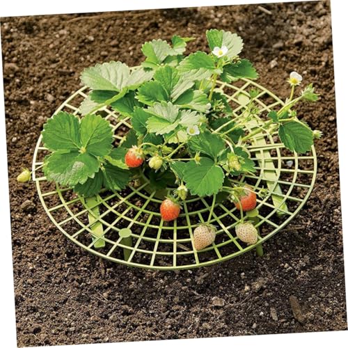 SUPVOX 6 Stück Teiliges Erdbeer Klettergerüst Pflanzstütze aus Langlebigem Material Praktisches Garten Rankhilfen für Saubere Früchte und Gesunde Kletterpflanzen Grün Einfach zu SUPVOX 6 Stück Teiliges Erdbeer Klettergerüst Pflanzstütze aus Langlebigem Material Praktisches Garten Rankhilfen für Saubere Früchte und Gesunde Kletterpflanzen Grün Einfach zu von Supvox