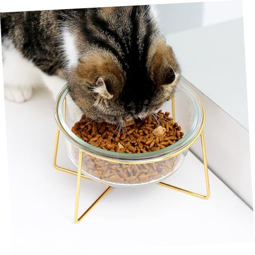 SUPVOX Erhöhter Futternapf Katze aus Langlebigem Glas mit Schrägem Design Rutschfestem Metallständer Fassungsvermögen für Katzen und Kleine Hunde Schützt Nacken und Fördert Gesunde von Supvox
