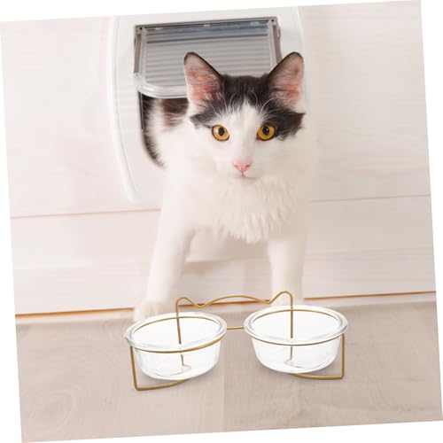 SUPVOX Erhöhter Katzennapf Doppelnapf aus Glas mit Weißem Metallständer Schräg Geneigtes Design zum Schutz der Halswirbelsäule Leicht zu Reinigen Großes Fassungsvermögen Sicher für SUPVOX Erhöhter Katzennapf Doppelnapf aus Glas mit Weißem Metallständer Schräg Geneigtes Design zum Schutz der Halswirbelsäule Leicht zu Reinigen Großes Fassungsvermögen Sicher für von Supvox