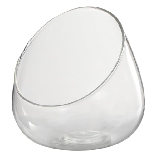 SUPVOX Glas Terrarium Flasche Schräg Mund Mikrolandschaft Ökologische Flasche Moss Landscape Container Wiederverwendbar für Pflanzen Dekoration und Garten von Supvox