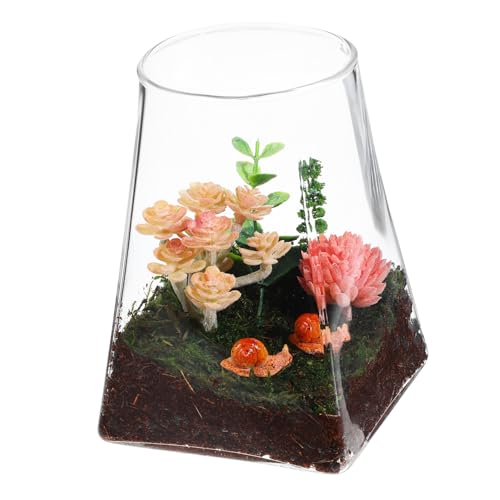 SUPVOX Glas Terrarium Pflanzgefäß Klare Glasvase Mikrolandschaft Pflanzer Dekorativer Pflanzenhalter für Sukkulenten und Blumen Wohn Bürodekoration SUPVOX Glas Terrarium Pflanzgefäß Klare Glasvase Mikrolandschaft Pflanzer Dekorativer Pflanzenhalter für Sukkulenten und Blumen Wohn Bürodekoration von Supvox