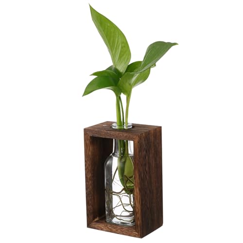 SUPVOX Hydroponische Pflanzen Vermehrungsstation mit Transparentem Glas Terrarium und Robustem Holzgestell Dekorative Pflanzenvase für Tischdekoration Vielseitig Einsetzbar SUPVOX Hydroponische Pflanzen Vermehrungsstation mit Transparentem Glas Terrarium und Robustem Holzgestell Dekorative Pflanzenvase für Tischdekoration Vielseitig Einsetzbar von Supvox