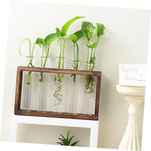 SUPVOX Hydroponischer Pflanzenständer mit Glas Reagenzgläsern Propagation Station für Zimmerpflanzen Dekorativer Pflanzenhalter für Wohnzimmer Büro Balkon Inklusive Reinigungsbürsten und SUPVOX Hydroponischer Pflanzenständer mit Glas Reagenzgläsern Propagation Station für Zimmerpflanzen Dekorativer Pflanzenhalter für Wohnzimmer Büro Balkon Inklusive Reinigungsbürsten und von Supvox