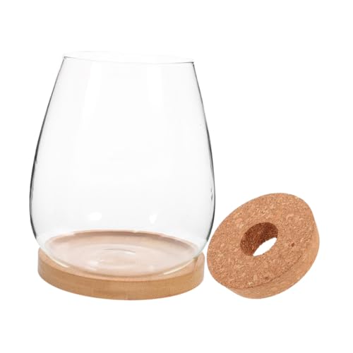 SUPVOX Hydroponisches Pflanzen Terrarium Glasflasche mit Lochdeckel und Tablett Multifunktionaler Flaschengarten für Tischdekoration Aufbewahrung und Micro Landschaft Praktisch für Wohn von Supvox