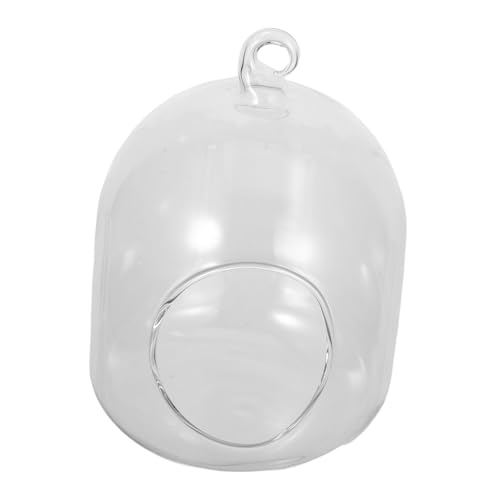 Supvox Flaschen Terrarium Kleine Blumenvase Mit Moos Landschaftsflasche Aus Glas Terrarienpflanzer Für Bürotisch Und Heimdekoration Pflegeleichtes Blasenpflanzer Supvox Flaschen Terrarium Kleine Blumenvase Mit Moos Landschaftsflasche Aus Glas Terrarienpflanzer Für Bürotisch Und Heimdekoration Pflegeleichtes Blasenpflanzer von Supvox