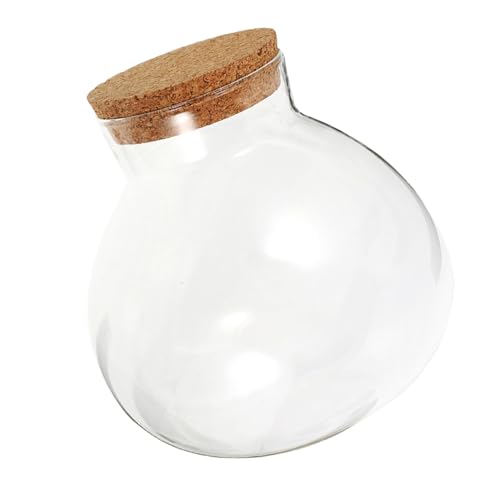 SUPVOX Ökologische Mikrolandschaftsflasche Süßigkeitenglas Glas mit Korkdeckel Mikropflanzenglas Terrarium mit Deckel dekoratives Glas Klares Sphere -Terrarium Moosglas Transparent SUPVOX Ökologische Mikrolandschaftsflasche Süßigkeitenglas Glas mit Korkdeckel Mikropflanzenglas Terrarium mit Deckel dekoratives Glas Klares Sphere -Terrarium Moosglas Transparent von Supvox