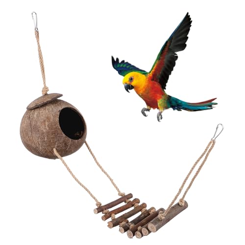 SUPVOX Reptilien Höhle aus Kokosnuss mit Leiter Versteck und Klettermöglichkeit für Terrarium Kleines Leichtes Versteck für Eidechsen Spinnen Skorpione Natürlicher Rückzugsort und SUPVOX Reptilien Höhle aus Kokosnuss mit Leiter Versteck und Klettermöglichkeit für Terrarium Kleines Leichtes Versteck für Eidechsen Spinnen Skorpione Natürlicher Rückzugsort und von Supvox