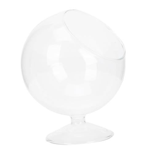 SUPVOX Transparente Glasflasche für Wasserpflanzen Hochwertiger Micro Landscape Bottle Dekoratives Langlebiges Haushalts glasgefäß für Zimmer Büro Restaurant Dekoration von Supvox