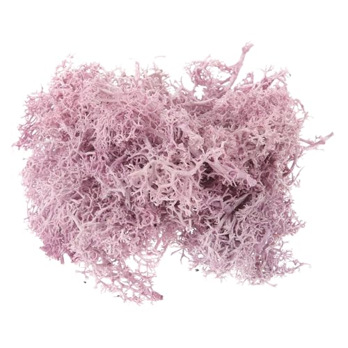 Supvox Wohnkultur 1 Plastik Moos Künstliches Moos Für Pflanzen Synthetisches Moos Landschaft Moos Aquariumdekoration Bilderrahmen Kunstmoos Zum Basteln Violett Konservierte Falsches Gras Supvox Wohnkultur 1 Plastik Moos Künstliches Moos Für Pflanzen Synthetisches Moos Landschaft Moos Aquariumdekoration Bilderrahmen Kunstmoos Zum Basteln Violett Konservierte Falsches Gras von Supvox