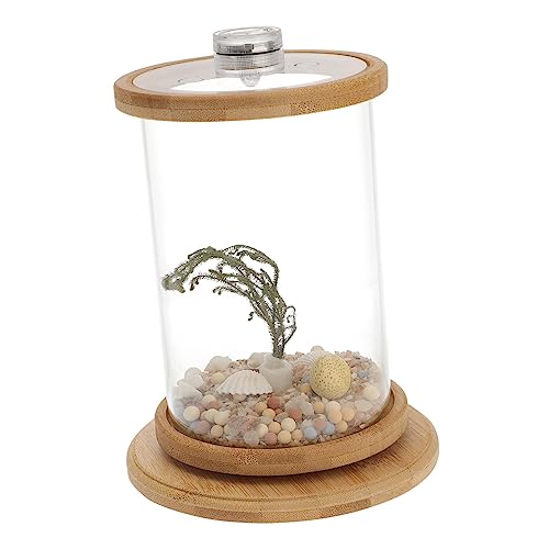 Supvox Dekoratives Aquarium für Schreibtisch 1 Satz aus Praktischer Fischaquarium Tank mit Bambusrahmen Kreative Mikrolandschaftsdekoration für Büro und Zuhause von Supvox