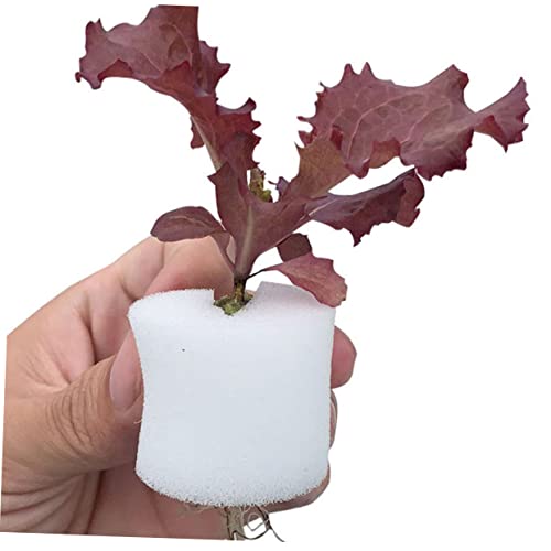 Supvox 120 Stück Hydroponischer Pflanzschwamm Weiß Wasserspeichernd Dichter Anzuchtschwamm für Soilless Gemüse und Pflanzensprosszucht Geeignet für Gewächshaus und Keimung von Supvox