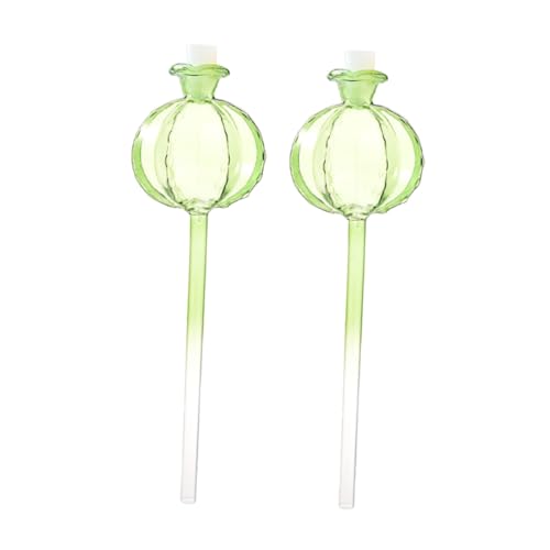 Supvox 2 Stück Automatische Bewässerungskugeln aus Glas für Zimmerpflanzen und Kakteen Selbstbewässernde Pflanzenglobes zur Bodenfeuchtigkeitskontrolle für Urlaub und Bonsaipflege Supvox 2 Stück Automatische Bewässerungskugeln aus Glas für Zimmerpflanzen und Kakteen Selbstbewässernde Pflanzenglobes zur Bodenfeuchtigkeitskontrolle für Urlaub und Bonsaipflege von Supvox