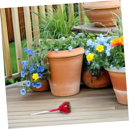 Supvox 2 Stück Automatische Erdbeer Glas Bewässerungskugeln Selbstbewässernde Pflanzkugeln für Drinnen und Draußen Gleichmäßige Wasserverteilung Pflanzenhydratation von Supvox