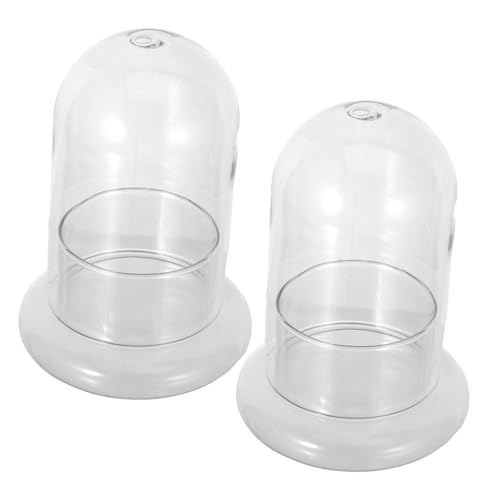 Supvox 2 Stück Mikrolandschafts glasflaschen aus Hochwertigem Borosilikat Ökologische mit Öffnung für DIY Moos terrarien Pflanzen und Kreative Mikro landschaften von Supvox