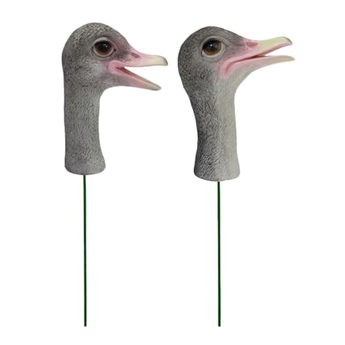 Supvox 2St Simulierte Straußenstatue Tierhofschild Straußenvogelskulptur Wohnkultur inneneinrichtung Blumentöpfe Kunsthandwerk Desktop-Straußkopfskulptur Straußenkopf-Statuen-Requisiten Supvox 2St Simulierte Straußenstatue Tierhofschild Straußenvogelskulptur Wohnkultur inneneinrichtung Blumentöpfe Kunsthandwerk Desktop-Straußkopfskulptur Straußenkopf-Statuen-Requisiten von Supvox