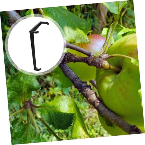 Supvox 50 Stück Astspreizer für Obstbäume Verstellbare Zweigspreizer aus Robustem Kunststoff Leichtes Gartenwerkzeug zum Formen und Unterstützen von Ästen Installieren und Supvox 50 Stück Astspreizer für Obstbäume Verstellbare Zweigspreizer aus Robustem Kunststoff Leichtes Gartenwerkzeug zum Formen und Unterstützen von Ästen Installieren und von Supvox