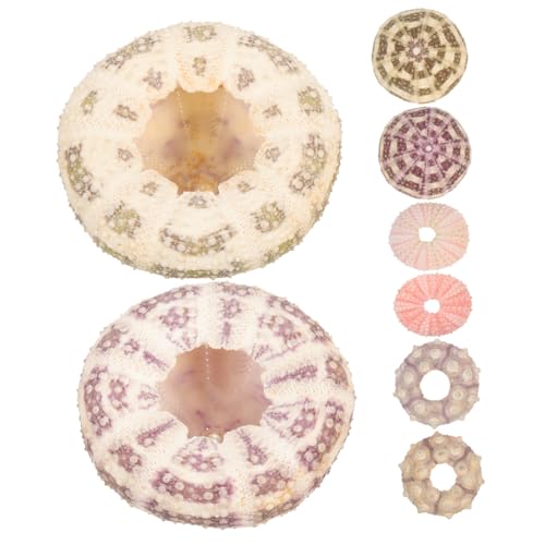 Supvox 6 Stück Natürliche Seeigelmuschel Pflanzgefäße Bunte Blumentöpfe für Luftpflanzen Aquarium Deko Vielseitige Meeres Tischdekoration Zufällige Farbe Zufällige Farbe Supvox 6 Stück Natürliche Seeigelmuschel Pflanzgefäße Bunte Blumentöpfe für Luftpflanzen Aquarium Deko Vielseitige Meeres Tischdekoration Zufällige Farbe Zufällige Farbe von Supvox