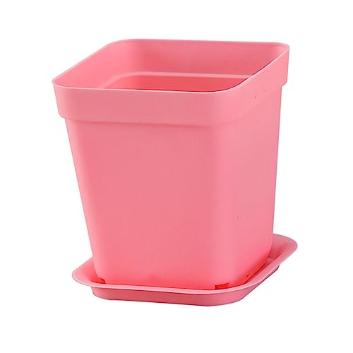 Supvox 12Stücke Mini Kunststoff Blumentöpfe mit Untersetzern Quadratische Pflanztöpfe für Sukkulenten Dekorative Blumenhalter für Garten Schule und Heimdekoration Weiß Gelb Lila Grün Blau Supvox 12Stücke Mini Kunststoff Blumentöpfe mit Untersetzern Quadratische Pflanztöpfe für Sukkulenten Dekorative Blumenhalter für Garten Schule und Heimdekoration Weiß Gelb Lila Grün Blau von Supvox