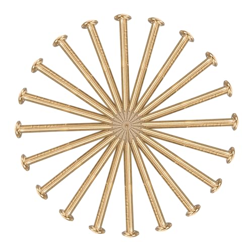 SUPVOX Nails Kupfernägel 100pcs für Töten Baumstumpfabbau-Spitzen 18mm Nägel SUPVOX Nails Kupfernägel 100pcs für Töten Baumstumpfabbau-Spitzen 18mm Nägel von Supvox