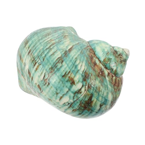 Supvox Natürliche Grüne Conch Muschel Dekoration Groß Umweltfreundlich Langlebig für Aquarium Fischbecken DIY Landschaft Strand Party Zubehör von Supvox