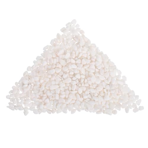 Supvox Natürliche Weiße Aquarium Kieselsteine Fischbecken Dekorationskies Langlebig Leicht zu Reinigen für Vasen Topfpflanzen Terrarien Ökologisch Ausgewogen Supvox Natürliche Weiße Aquarium Kieselsteine Fischbecken Dekorationskies Langlebig Leicht zu Reinigen für Vasen Topfpflanzen Terrarien Ökologisch Ausgewogen von Supvox