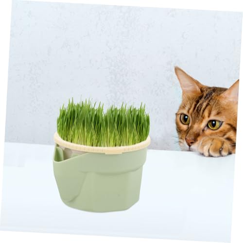 Supvox Soillose Hydroponic Katzengras Pflanzschale mit Großem Pflanzbereich Einfach zu Reinigen Katzengras Anzuchtbox für Haushalt Wiederverwendbar Wasserbesprühbar Abnehmbares von Supvox