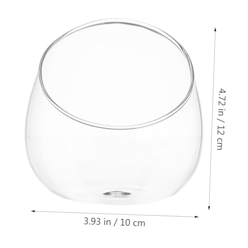 Supvox Transparente Terrarium Glasflasche Dickwandiges Micro Landschafts Ökologie Gefäß Stilvolle Dekoration für Sukkulenten und Moos Vielseitig für Wohnräume Geschäfte Schlafzimmer von Supvox