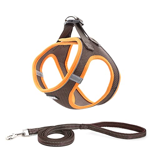 Suredoo Hundegeschirr mit Leine Anti Zug Geschirr Reflektierend Brustgeschirr für Kleine Hunde, Haustiere, Welpen, Katzen (Braun Orange, M) von Suredoo