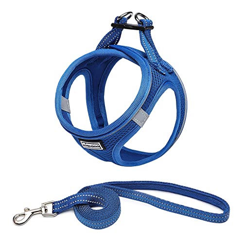 Suredoo Hundegeschirr mit Leine Anti Zug Geschirr Reflektierend Brustgeschirr für Kleine Hunde, Haustiere, Welpen, Katzen (Lapis Blau, L) von Suredoo