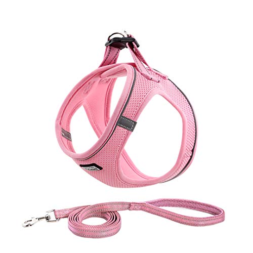 Suredoo Hundegeschirr mit Leine Anti Zug Geschirr Reflektierend Brustgeschirr für Kleine Hunde, Haustiere, Welpen, Katzen (Rosa, M) von Suredoo
