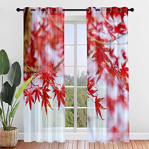 Surwin Gardinen mit Ösen, 2er Set Vorhänge, Herbst Modern Transparent Vorhänge Wohnzimmer Polyester Gardinen Küche Fenster Wohnzimmer Schlafzimmer (140x213cm,rot) von Surwin