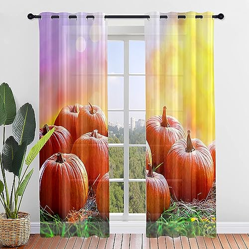 Surwin Gardinen mit Ösen, 2er Set Vorhänge, Kürbis Modern Transparent Vorhänge Wohnzimmer Polyester Gardinen Küche Fenster Wohnzimmer Schlafzimmer (107x213cm,Reife Ernte) von Surwin