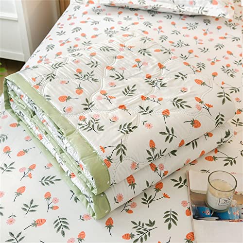 Surwin Reversibel Tagesdecke Bettüberwurf aus Mikrofaser Wattiert und Gesteppt Steppdecke mit Blumenmuster für Doppelbett Einzelbett Sommer Sofaüberwurf Decke (Erdbeere,150x200cm) von Surwin