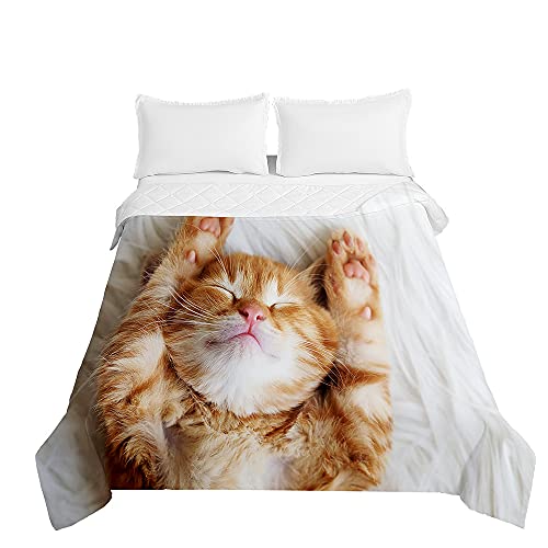Surwin Tagesdecke Bettüberwurf Steppdecke für Doppelbett Einzelbett, Mikrofaser Wattiert Gesteppt Bettdecke 3D Katzendruck Dünne Tagesdecken mit Ultraschall genäht (Orange pelzig,150x200cm) von Surwin