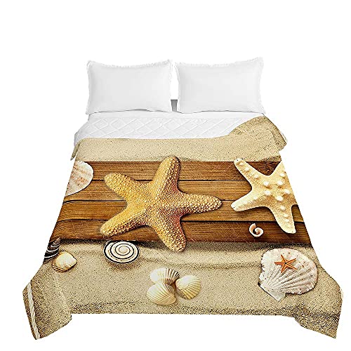 Surwin Tagesdecke Bettüberwurf Steppdecke für Doppelbett Einzelbett, Mikrofaser Wattiert Gesteppt Bettdecke 3D Seestern Sommer Dünne Tagesdecken mit Ultraschall Prägung (Shell Schnecke,150x200cm) von Surwin