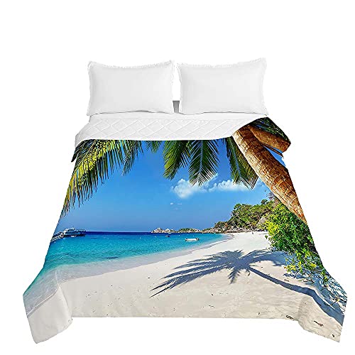 Surwin Tagesdecke Bettüberwurf Steppdecke für Doppelbett Einzelbett, Mikrofaser Wattiert Gesteppt Bettdecke 3D Strand Sommer Dünne Tagesdecken mit Ultraschall Prägung (Kokosnussbaum,220x240cm) von Surwin