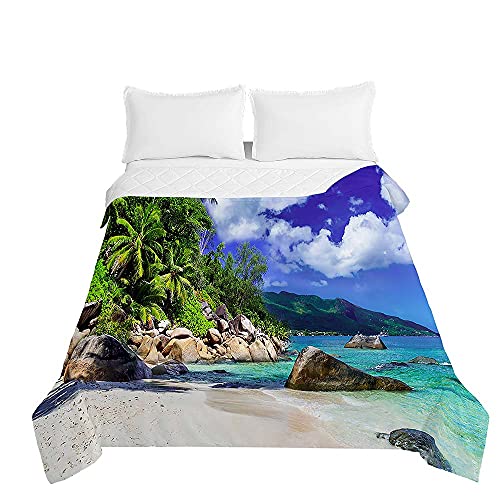 Surwin Tagesdecke Bettüberwurf Steppdecke für Doppelbett Einzelbett, Mikrofaser Wattiert Gesteppt Bettdecke 3D Strand Sommer Dünne Tagesdecken mit Ultraschall Prägung (Sonniger Tag,180x220cm) von Surwin