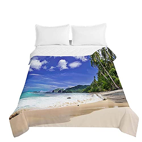 Surwin Tagesdecke Bettüberwurf Steppdecke für Doppelbett Einzelbett, Mikrofaser Wattiert Gesteppt Bettdecke 3D Strand Sommer Dünne Tagesdecken mit Ultraschall Prägung (Wellen,220x240cm) von Surwin