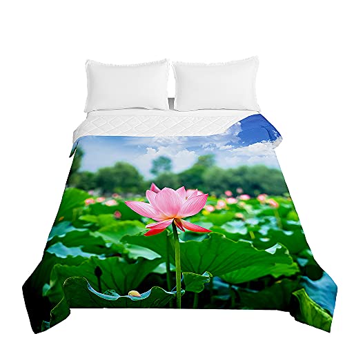 Surwin Tagesdecke Bettüberwurf Steppdecke für Doppelbett Einzelbett,Mikrofaser Wattiert Gesteppt Bettdecke 3D Wasserlilie Druck Dünne Tagesdecken mit Ultraschall Prägung (Frühlingsgrün,230x260cm) von Surwin
