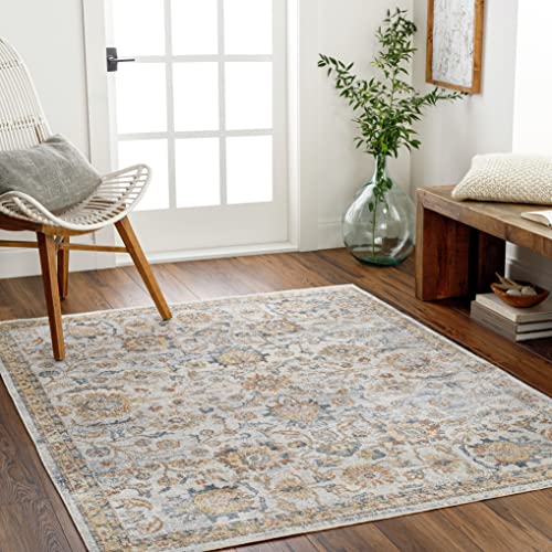 Surya Doha Vintage Teppich - Teppich Wohnzimmer, Esszimmer, Flur, Rugs Living Room - Boho Teppich Orientalisch Style, Kurzflor Carpet - Bunter Teppich Grau, Creme, 200x275cm von Artistic Weavers