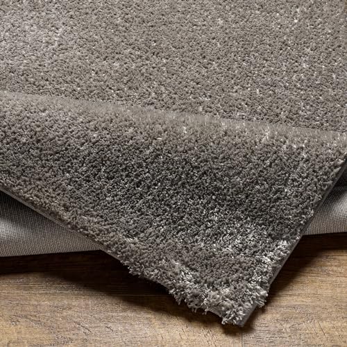 Livabliss Shaggy Rug Shaggy Berber Teppich - Flauschiger Teppich für Wohnzimmer, Esszimmer, Schlafzimmer, Langflor Hochflor Teppich flauschig - Teppich groß 160x213 cm, Wohnzimmerteppich in Dunkelgrau Livabliss Shaggy Rug Shaggy Berber Teppich - Flauschiger Teppich für Wohnzimmer, Esszimmer, Schlafzimmer, Langflor Hochflor Teppich flauschig - Teppich groß 160x213 cm, Wohnzimmerteppich in Dunkelgrau von Livabliss